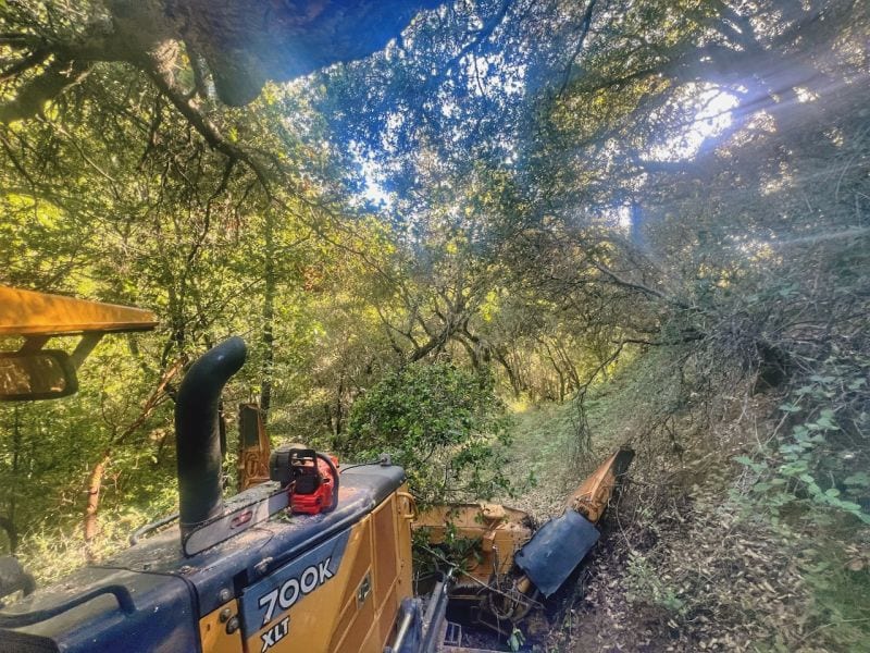 The view from a dozer pushing through thick brush under oak trees, with a chainsaw resting on the hood