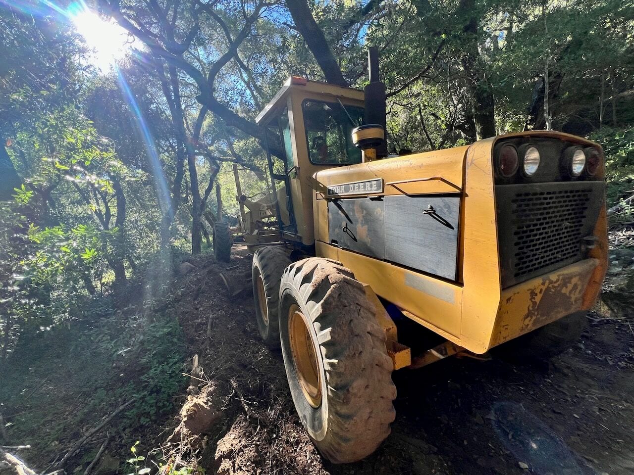 A yellow John Deere motor grader on a dirt road under oak trees, with sunlight coming through the branches