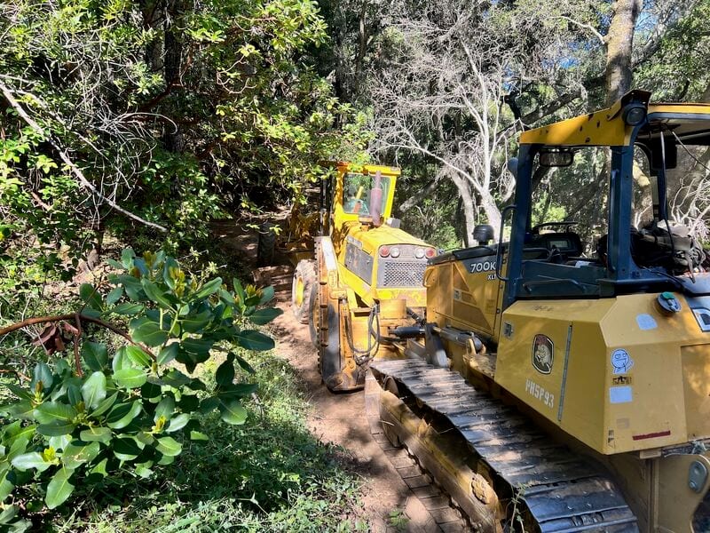 A yellow dozer and a motor grader on a narrow dirt road through oak woods