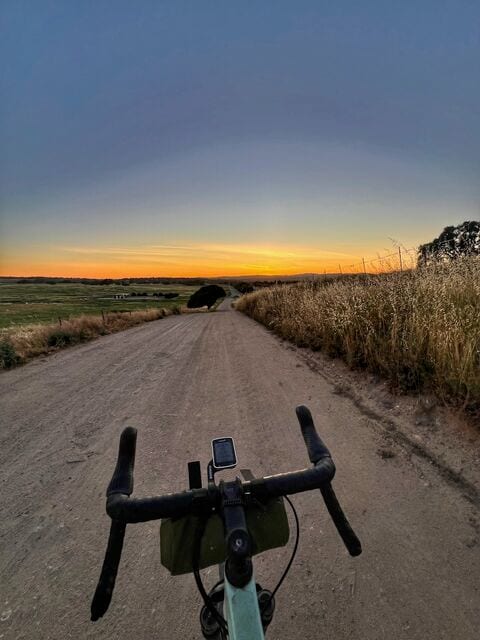 The handlebars of a gravel bike on a dirt road at sunset, with dry grass along the side