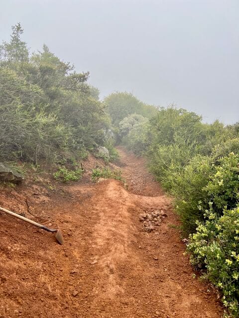 A freshly reworked dirt trail through green brush on a foggy day, with a trail tool lying on the bank